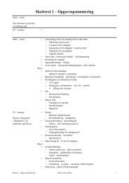 Skatteret 1 – Opgaveopsummering - JuraWiki