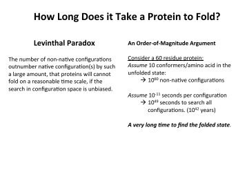 How Long Does it Take a Protein to Fold? Levinthal Paradox