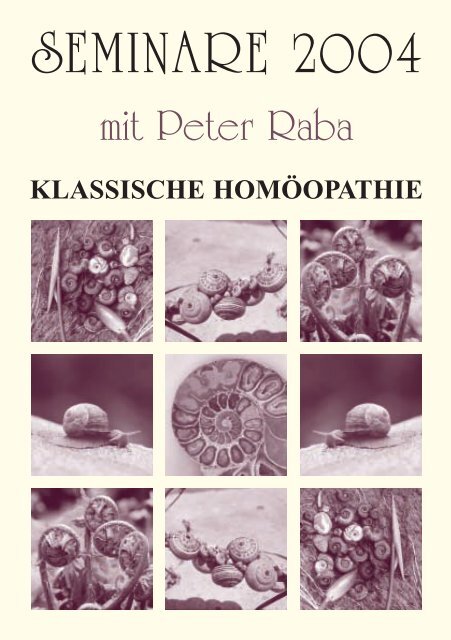 SEMINARE MIT PETER RABA - 82418