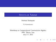 Singular Tutorial - IPM