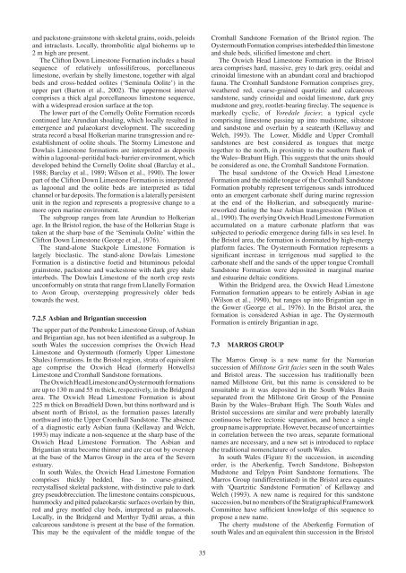 Lithostratigraphical framework for Carboniferous successions of ...