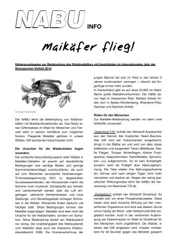 Positionspapier des NABU Hessen (PDF)