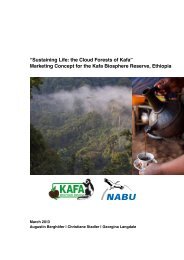 Marketing Concept for the Kafa Biosphere Reserve, Ethiopia - Nabu