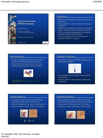 Slide - Image Processing and Analysis Group - Yale University