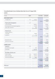 Consolidated balance sheet of Andreae-Noris Zahn AG as ... - Anzag