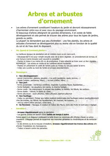 Arbres et arbustes d'ornement - Carrefour.fr