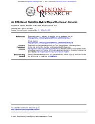 An STS-Based Radiation Hybrid Map of the Human Genome