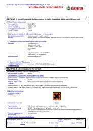 SCHEDA DATI DI SICUREZZA Assert Clean