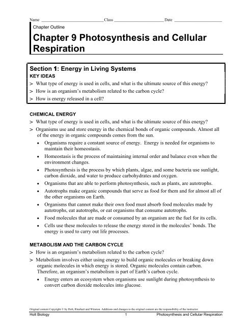 Chapter 9 Photosynthesis And Cellular Respiration