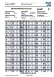 izarplus 29 . . . . izar n = * 30 - hausammannag.com