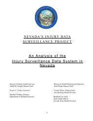 An Analysis of the Injury Surveillance Data System in Nevada