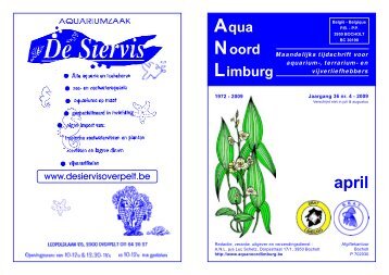 Aqua Noord Limburg - home.euphonynet.be