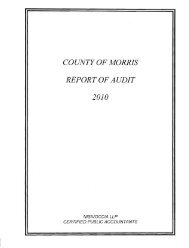 COUNTY OF MORRIS REPORT OF AUDIT 2010 - Morris County