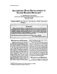 allometric bone development in floor-reared broilers