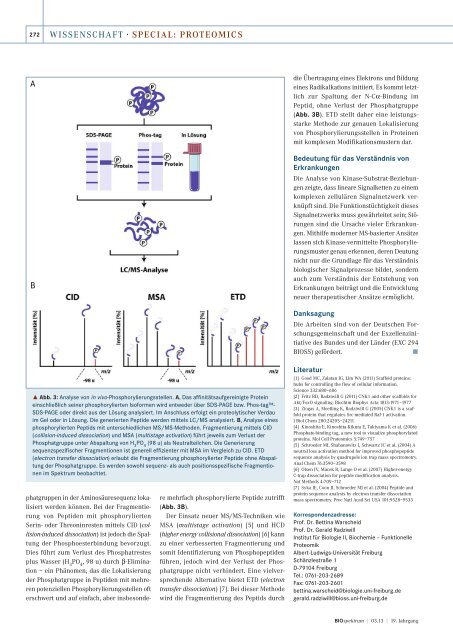 Phosphorylierungen bei Signalproteinen erkennen ... - BIOspektrum