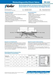 Rückschlagventile/Check Valves PN 400 - Andreas Hofer