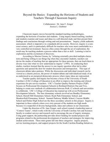 Beyond the Basics.pdf - Teacher Quality Collaborative - University of ...