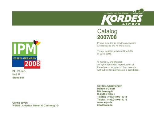 2008 - Kordes-Jungpflanzen