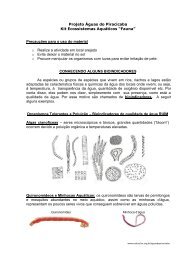 Kit Ecosssitemas Aquáticos - Fauna (Bioindicadores) - Associação ...