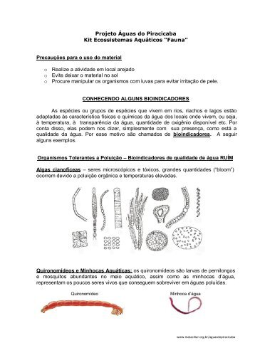 Kit Ecosssitemas Aquáticos - Fauna (Bioindicadores) - Associação ...