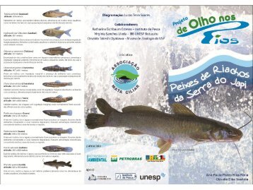 Peixes de Riacho da Serra do Japi - Associação Mata Ciliar
