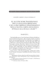 03 Cassinis_Schirolli.pdf - BOLbusiness