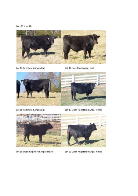 To View Catalog - Cowbuyer