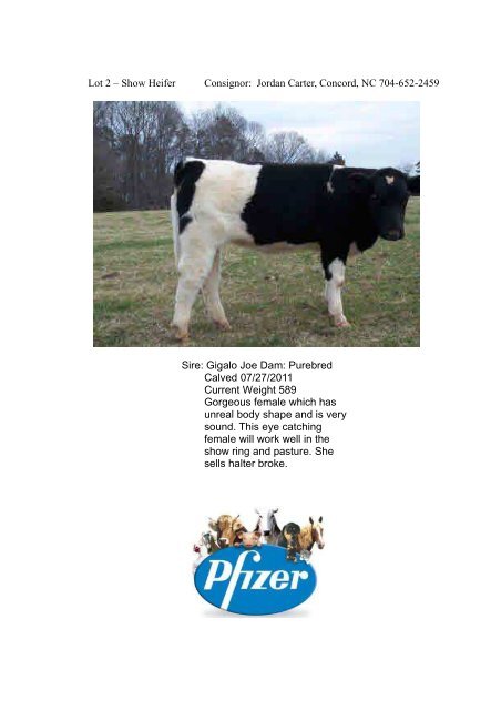 To View Catalog - Cowbuyer