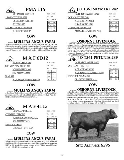 To All Beef Producers - angus beef cattle sales by the southwest ...
