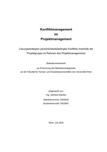 Konfliktmanagement im Projektmanagement