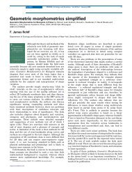 Geometric morphometrics simplified - Stony Brook University