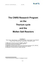 The CNRS Research Program on the Thorium cycle ... - Pacen - IN2P3