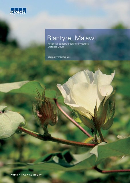 Blantyre, Malawi: Potential Opportunities for Investors - Millennium ...