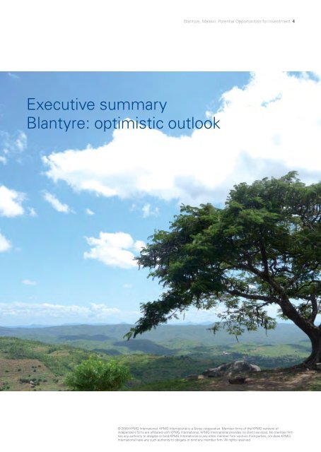 Blantyre, Malawi: Potential Opportunities for Investors - Millennium ...