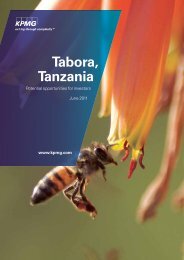 Tabora, Tanzania: Potential Opportunities for Investors - Millennium ...