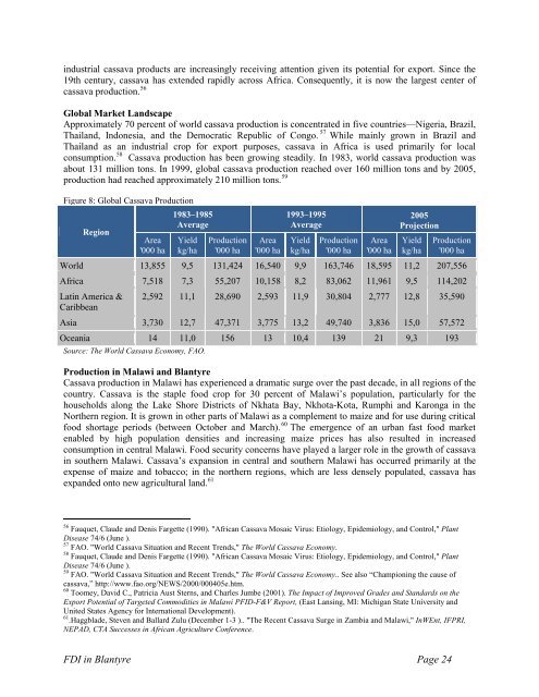 Foreign Direct Investment in Blantyre, Malawi - Millennium Cities ...