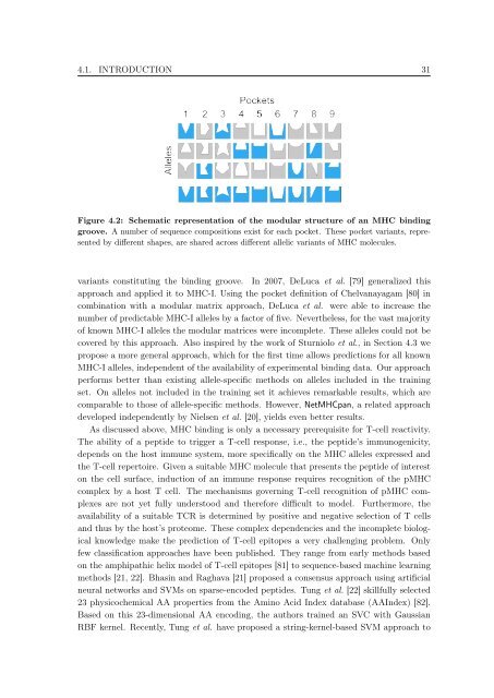 New Approaches to in silico Design of Epitope-Based Vaccines