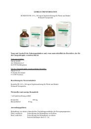 Romefen PR 10% - Merial