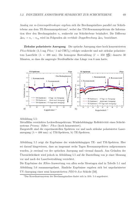 Text anzeigen (PDF) - bei DuEPublico