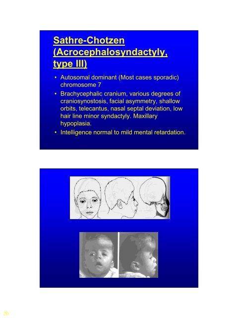 Lecture Craniofacial Limoudei Hemsech