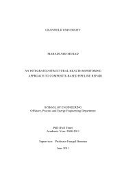 Cranfield university phd thesis