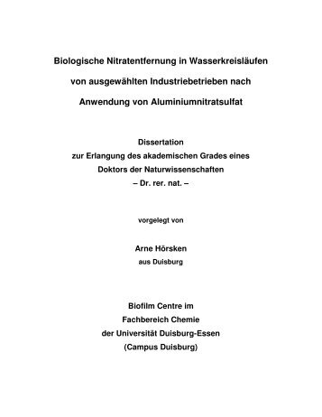 Text anzeigen (PDF) - bei DuEPublico - an der Universität Duisburg ...