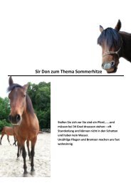 Sir Don zum Thema Sommerhitze