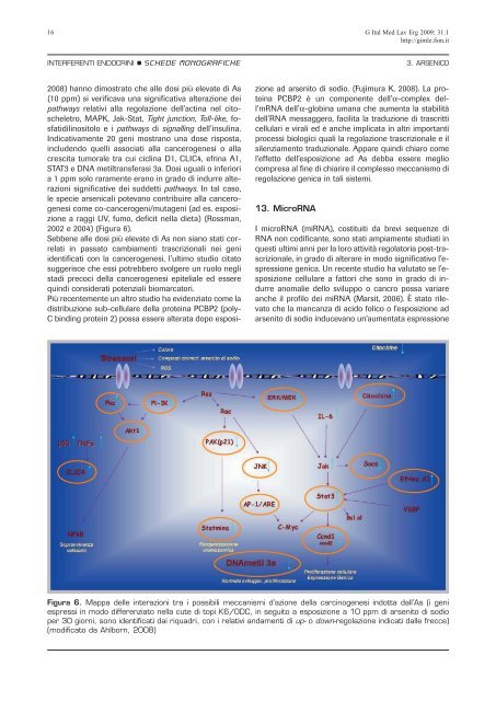 3. Arsenico - Giornale Italiano di Medicina del Lavoro ed Ergonomia ...