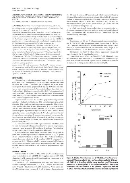 Indice - Giornale Italiano di Medicina del Lavoro ed Ergonomia ...