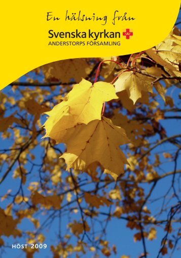 PDF-fil