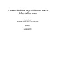 Version 28.01.2011 - Lehrstuhl Numerische Mathematik