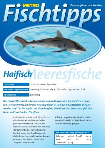 Haifisch Vorne