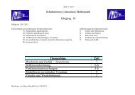 Schulinternes Curriculum Mathematik Klasse 10