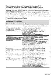 Kompetenzerwartungen am Ende der Jahrgangsstufe 10 ... - Sinus